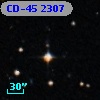 CD-45  2307