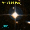 V* V356 Pup