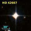 HD  42667