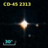 CD-45  2313