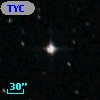 TYC 8101-453-1
