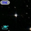 TYC 8101-1556-1