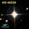HD  40250