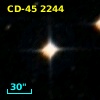 CD-45  2244