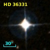 HD  36331