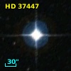 HD  37447