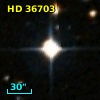 HD  36703