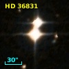 HD  36831
