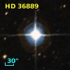 HD  36889