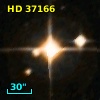 HD  37166