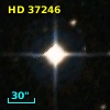 HD  37246