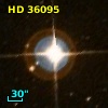 HD  36095