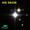 HD  34436