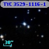 TYC 3529-1116-1