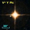 V* Y Pic