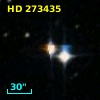 HD 273435
