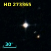 HD 273365