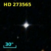 HD 273565