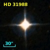 HD  31988