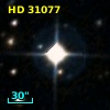 HD  31077