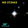 HD 272443