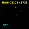 IRAS 03175+3723