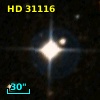 HD  31116