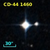 CD-44  1460