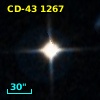 CD-43  1267