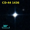 CD-44  1436