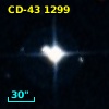 CD-43  1299