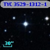 TYC 3529-1312-1