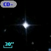 CD-39   989