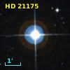 HD  21175
