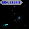 LEDA  111443