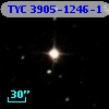 TYC 3905-1246-1