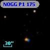 NOGG P1  175