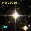HD  79019