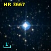 HR  3667