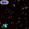 IRAS 08591-4005