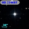 HD 234607