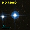 HD  75060