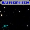 IRAS F18254+5520