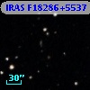IRAS F18286+5537