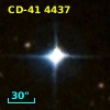CD-41  4437