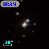 BRAN 177