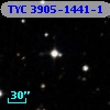 TYC 3905-1441-1