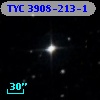 TYC 3908-213-1