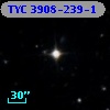 TYC 3908-239-1