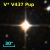V* V437 Pup
